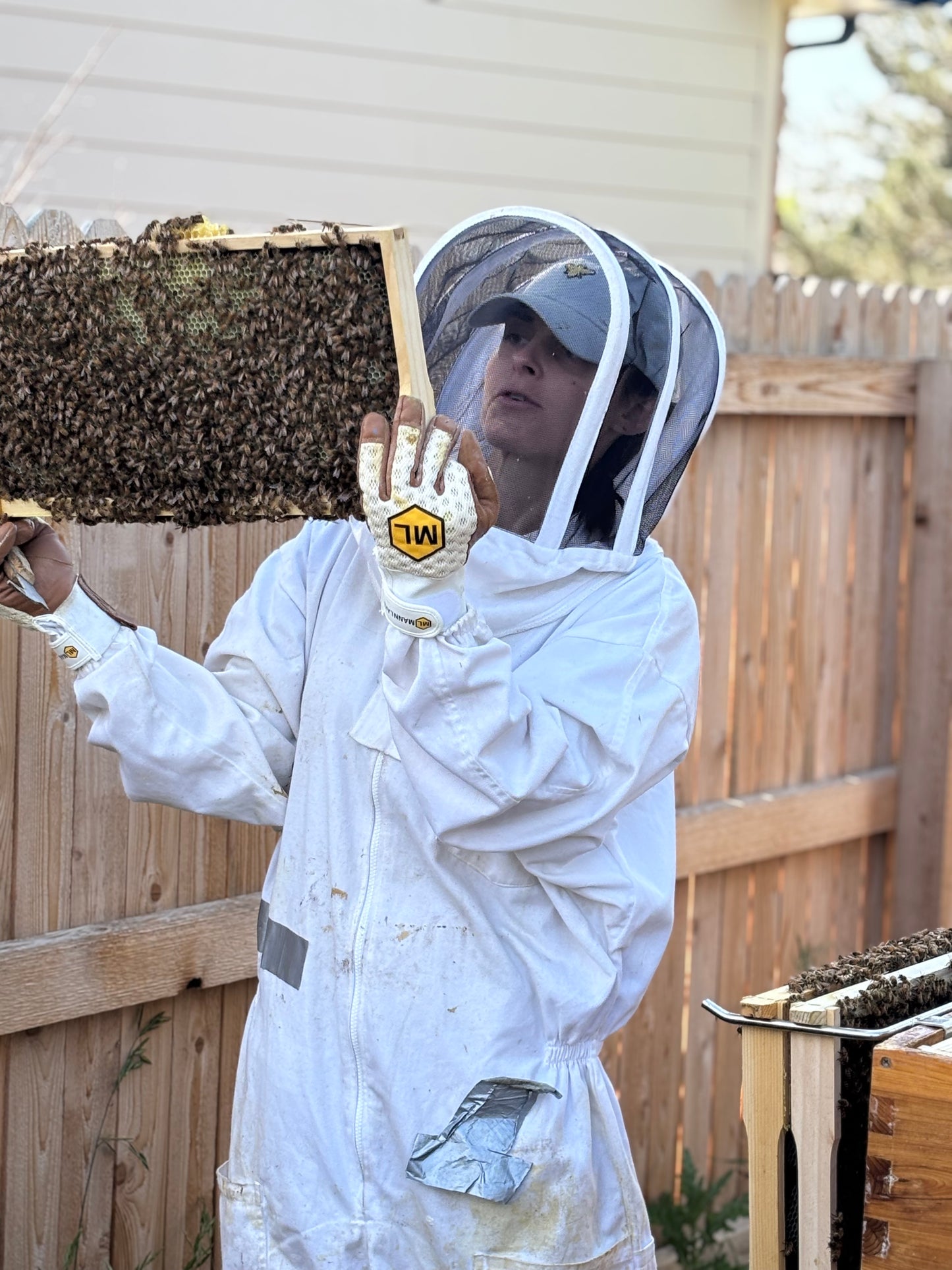 Host a Hive