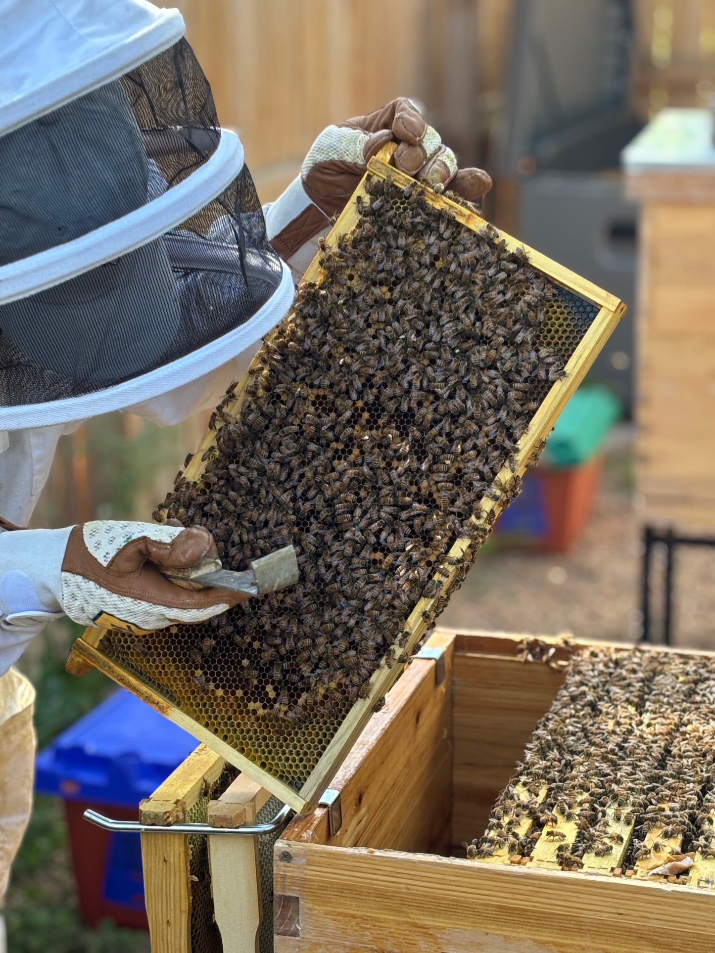 Honey Raw Unfiltered