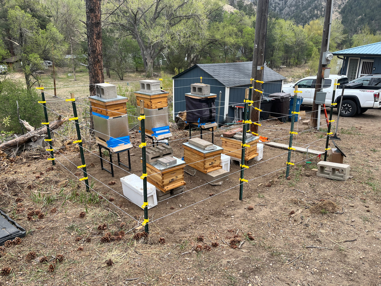 Host a Hive